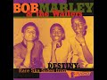 Bob Marley & The Wailers - Do It Right