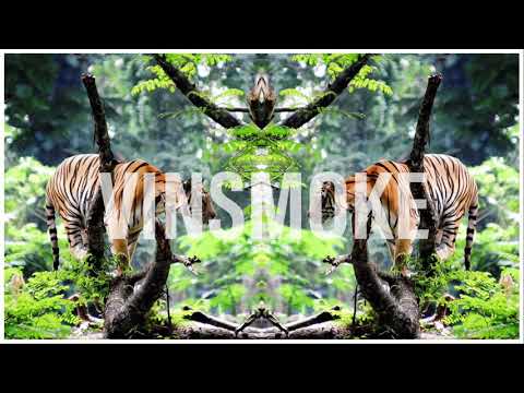 FRENNA X RONNIE FLEX X JONNA FRASER X VINSMOKE - ‘YOU’ - TYPE BEAT || INSTRUMENTAL