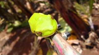 Flunk - See Thru You (The Cinque Cento Remix)