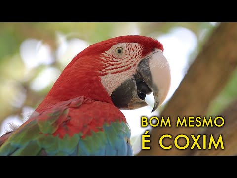Conheça o receptivo de Coxim - Mato Grosso do Sul