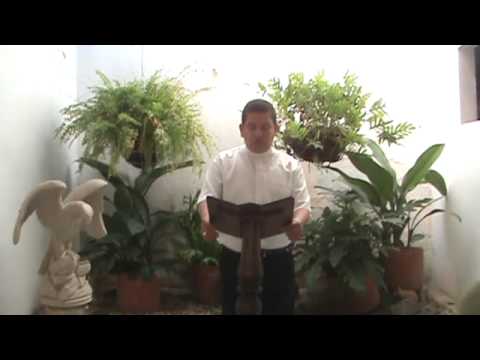 EVANGELIO DIARIO 22 DE AGOSTO 2011 - PARROQUIA LA SAGRADA FAMILIA