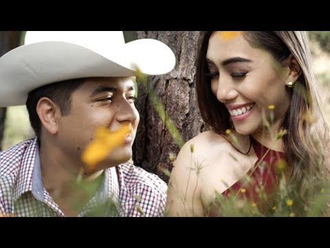 Los Elementos de Culiacán