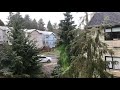 Slushie Rain