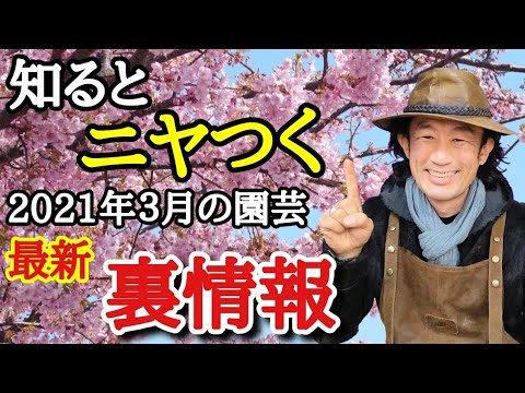 チーク材のガーデンファニチャー：天気の良い日に楽しむためのメンテナンス方法は？  庭園