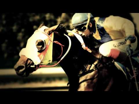 FISANI - THE SUMMERHILL BRAND