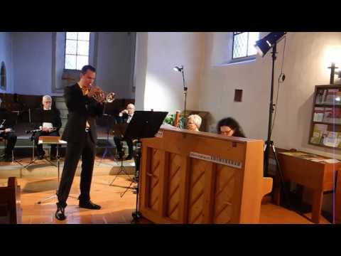 Fortune's Fool - Stan Nieuwenhuis