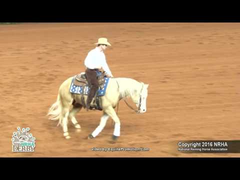 A Stylish Gunner ridden by Liam Alex MacNeill  - 2016 NRHA Derby (Open Finals, Sec. 1)