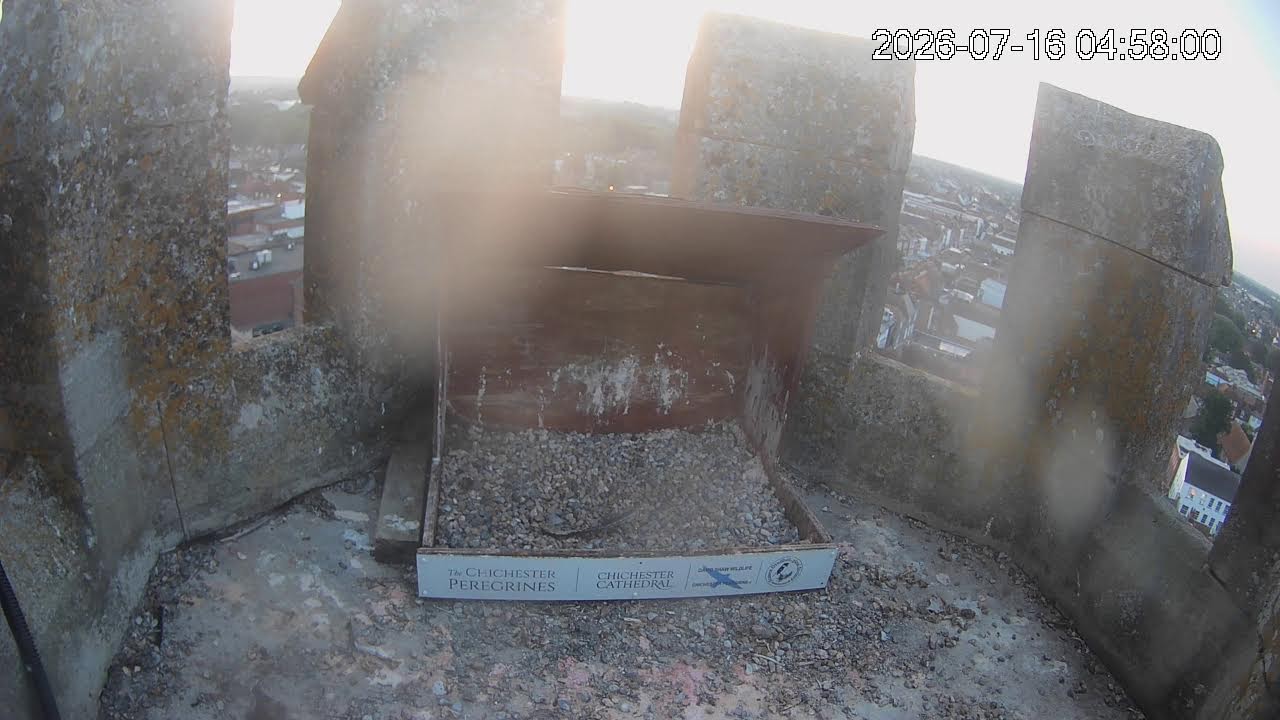 Live webcam view of Chichester Cathedral Peregrine Nest