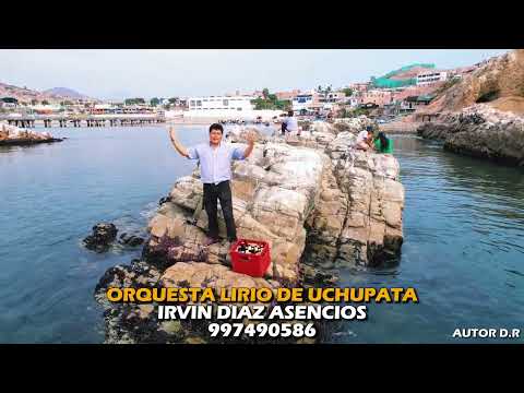 ORQUESTA LIRIO DE UCHUPATA CHANCAY  IRVIN DIAZ ASENCIOS ( QUISIERA IRME) Autor D. R.