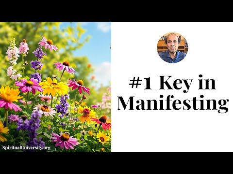 #1 Key in Manifesting