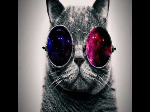 Cat Rapper- Fetty Wap #Girls Everywhere