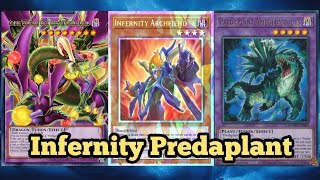 New Predaplants Cards Make Infernity Predaplant So Much Stronger! New Starving Venom Is Busted?