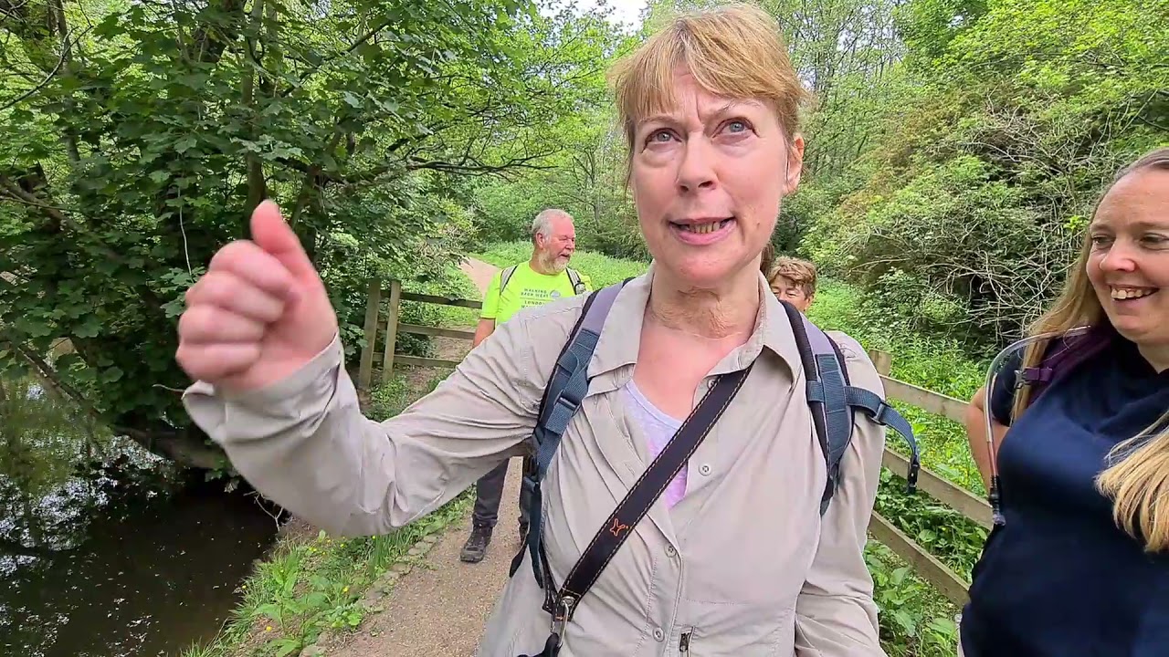 GM Ringway walk stage 3 and 4. Middlewood to East Didsbury via Bramhall. Dramatic fall included!