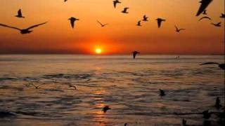 Göksel Baktagir - Ask Masali