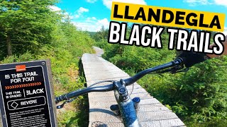 Llandegla Black Trails- MTB at One Planet Adventure