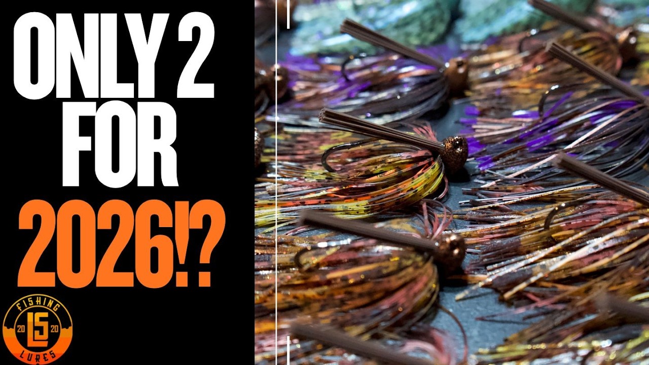 Picking ONLY 2 COLORS For 2026? (Top Choices)