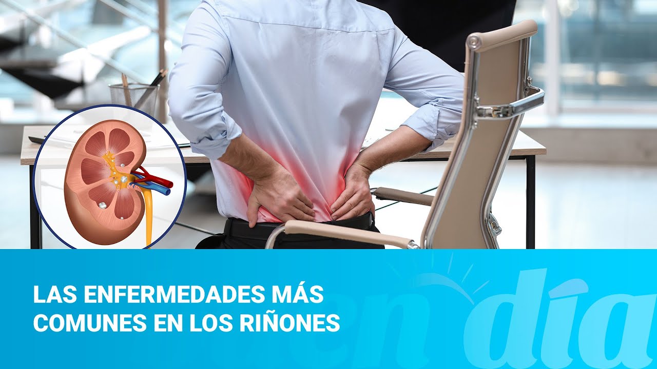 Las enfermedades más comunes en los riñones