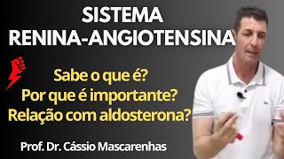 Sistema renina-angiotensina-aldosterona