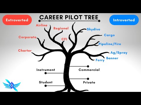 👨‍✈️Pilots! Choose Your Career Path Wisely! 🛫