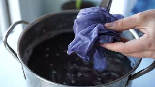 Natural Dyeing with Black Beans | pH Shifting