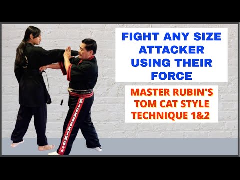 Master Rubin's Tom Cat Style Fight Technique  1 & 2 - Using The Attacker's Force Against Them