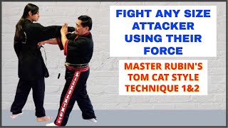Master Rubin's Tom Cat Style Fight Technique 1 & 2 - Using The Attacker's Force Against Them