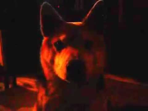 Happy Birthday to Ciaran