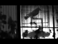 Music Video: Gil Scott-Heron "Me and The Devil"