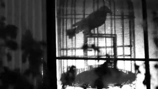 Gil Scott-Heron &quot;Me and the Devil&quot;  - CREATIVE CONTROL