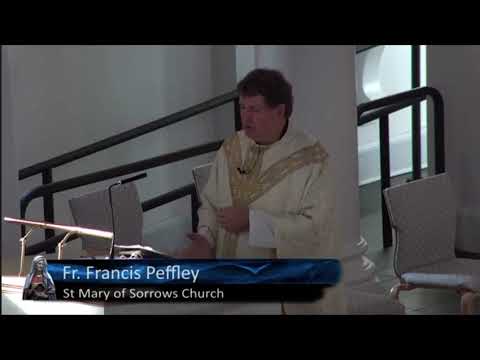 Saint Martin of Tours. Homily. 11/11/2021