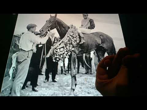 Horacio the handsnake - Judge Himes (racehorse)