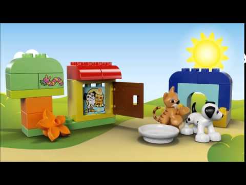 Vidéo LEGO Duplo 10570 : Boîte de briques et d'animaux