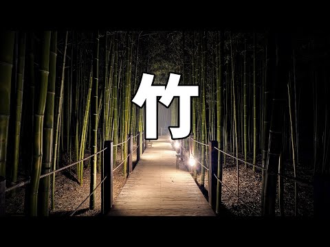 プライバシーヘッジに適した竹の種類は何ですか?非追跡種トップ5！  庭園