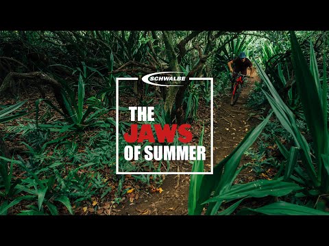 JAWS OF SUMMER // KC DEANE