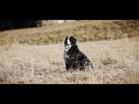 Varia Vision™   Garmin