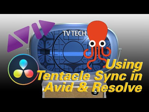 Tentacle Sync Workflow