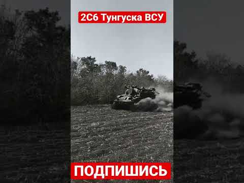 Новости с Украины. 2С6 Тунгуска ВСУ