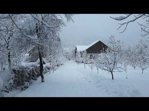 IARNA LA VALEA CHIOARULUI 16 - 12 -2018 .