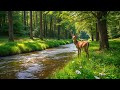 Gentle Music Calms The Nervous System And Pleases The Soul Healing Music For The Heart