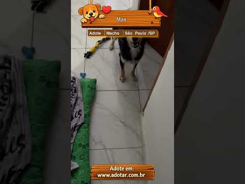 Vídeo de Max