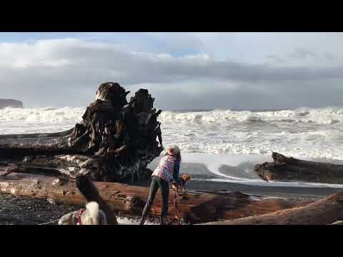 The RUMBLING sound of WAVES in Rialto Beach | Olympic National Park