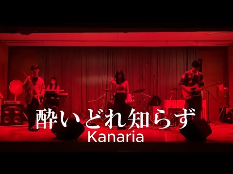 酔いどれ知らず / Kanaria【cover】