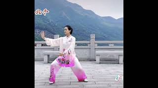 24式太極拳，正面示範
