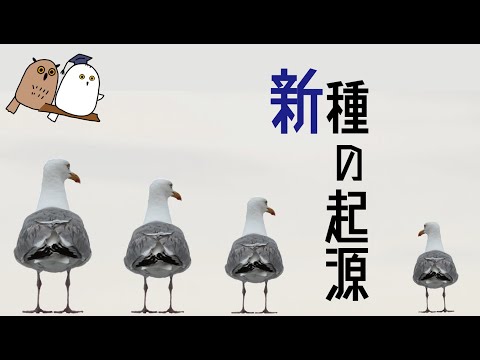 再び団結:種分化が逆転