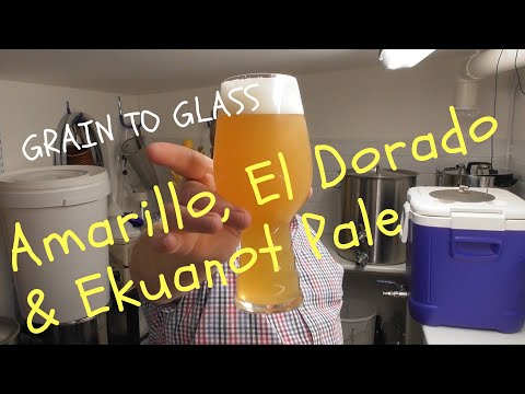 Amarillo, El Dorado & Ekuanot Pale Using Kviek Yeast - Grain to Glass Brew Day