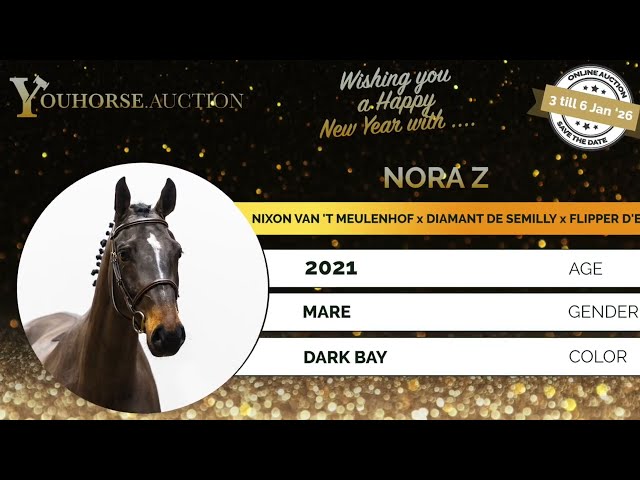 Nora Z trainingsvideo