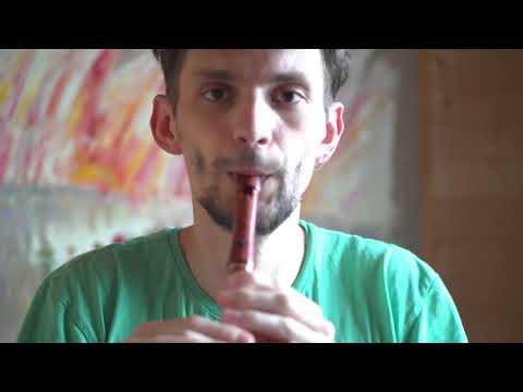 Whistle D flute for sale