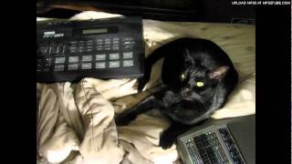 Video thumbnail for Yamaha RY30 demo by acreil