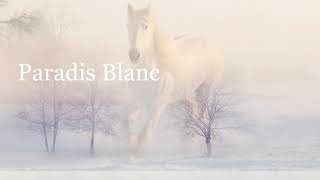 Le paradis blanc (Paroles) Michel Berger