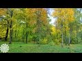 Talamasca Winter Tale